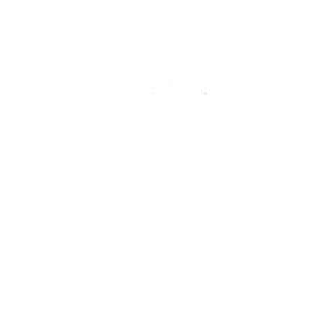 Cucci System Technology